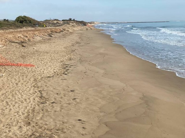 Cruz Roja se hace con el servicio de socorrismo en las playas de Guardamar por medio millón de euros