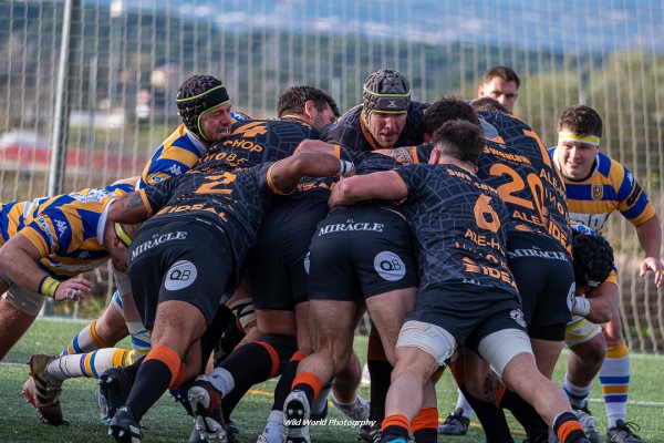 Sadival, nuevo patrocinador de Les Abelles
