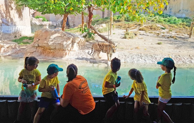 Terra Natura Benidorm abre su escuela de verano el 24 de junio 
