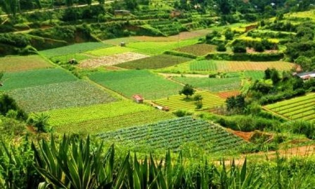 La mejora de los cultivos no sigue el ritmo del cambio climático