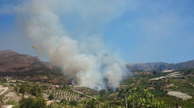 Cinco medios aéreos intentan controlar un incendio en Callosa d'en Sarrià