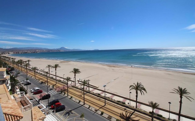El Campello revalida sus banderas azules: Carrer la Mar, Muchavista, Club Náutico e IEL
