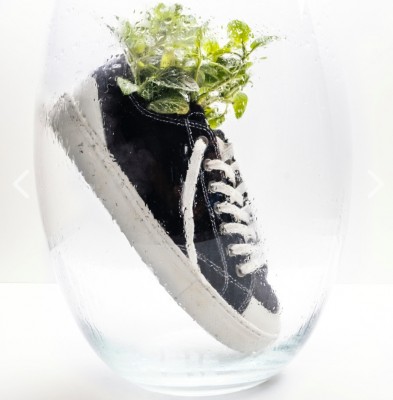 El proyecto de calzado ‘GreenShoes4all’, finalista en los premios LIFE de la Comisión Europea