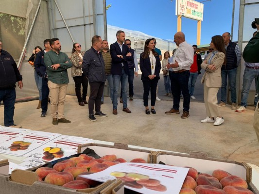 La Región de Murcia impulsa 23 nuevas variedades de fruta de hueso que se comercializarán esta campaña
