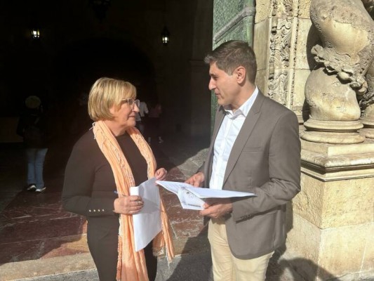 El PSOE insta al PP de Alicante a desarrollar la ZBE para no correr el riesgo de perder subvenciones