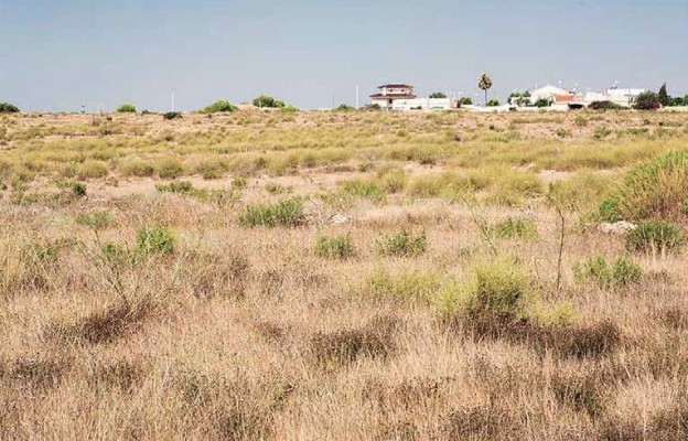 La reclasificación en L'Altet cambia el PGOU de Elche: podría eximir de las DIC en suelo rural según uso
