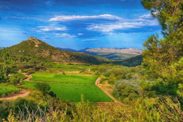 5 Lugares inolvidables para descubrir el País Cátaro