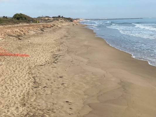 Cruz Roja se hace con el servicio de socorrismo en las playas de Guardamar por medio millón de euros