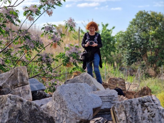 L'Ajuntament descobrix noves restes de l'antic monument a Sorolla en el depòsit d'FGV