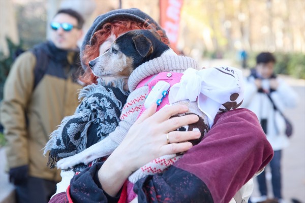 La Generalitat crea ayudas para asistencia a mayores en el cuidado de sus mascotas