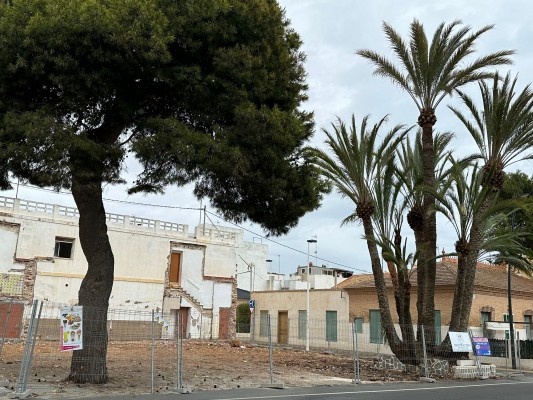 La palmera de diez brazos de Lo Pagán se mantendrá donde está tras el derribo de Villa Estrella
