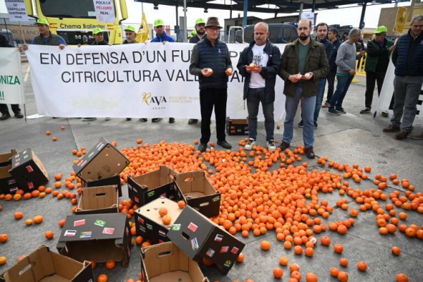 El cítrico español pierde cuota en la UE: baja la exportación y sube la importación de fuera