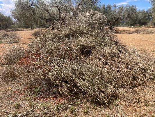 La Unió pide que se permitan quemas a más de 100 metros de terrenos forestales con riesgo bajo