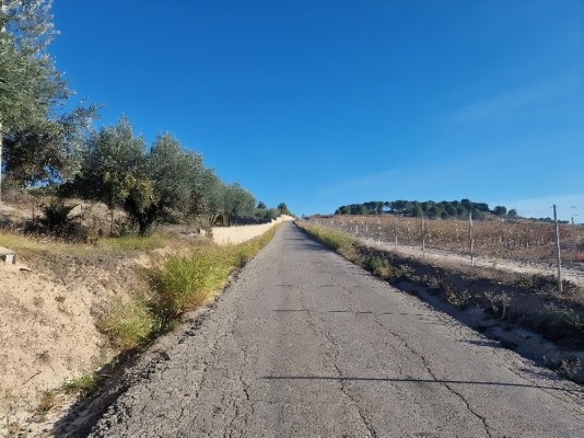 La Vall d’Albaida optimiza su conectividad con la mejora del Camí Reial de Ontinyent a Gandia

