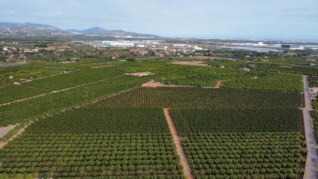 Los exportadores citrícolas denuncian la afección del parque solar proyectado en Onda y l'Alcora