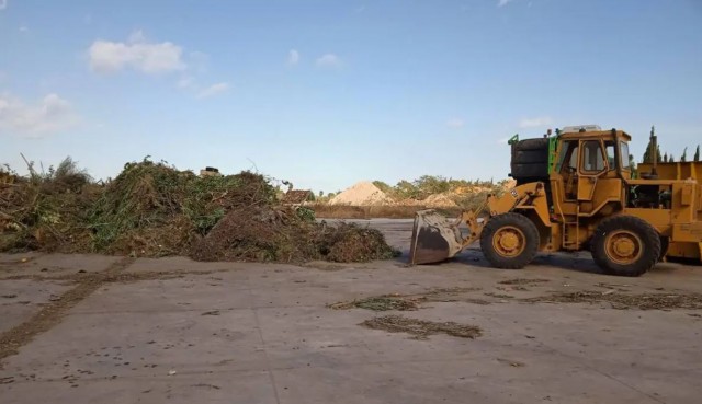 Dénia ultima la contrata de más de un millón para gestionar la planta de restos de poda

