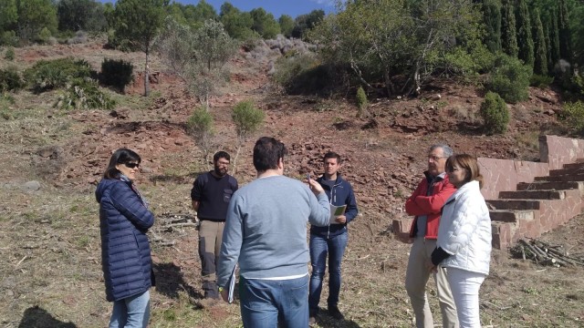Benicàssim refuerza las actuaciones de prevención de incendios en algunas de sus urbanizaciones