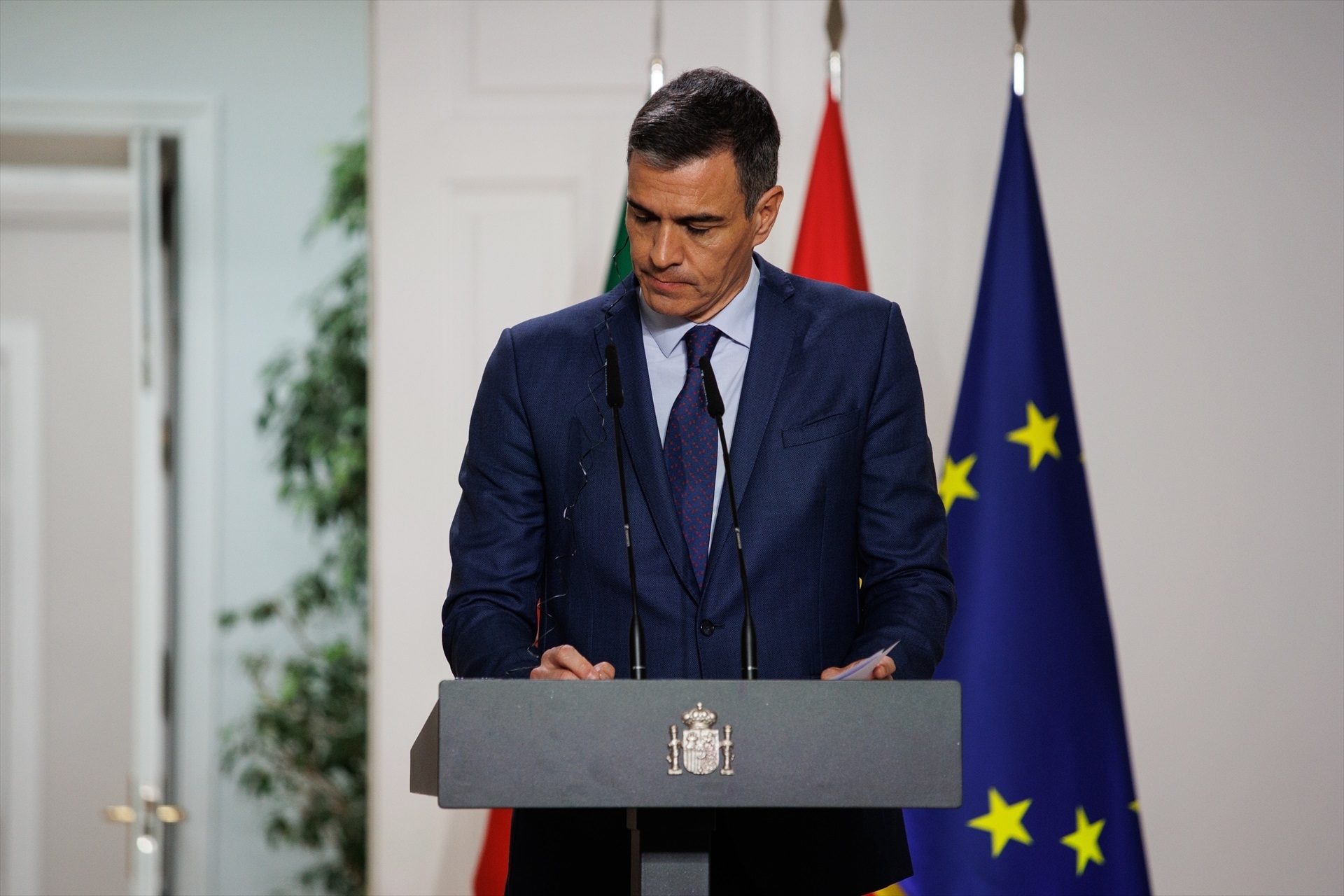 Pedro Sánchez en una imagen de archivo. Foto: A.MARTÍNEZ VÉLEZ/EP - 