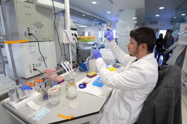 Empresas tractoras y empresas lastre de la innovación