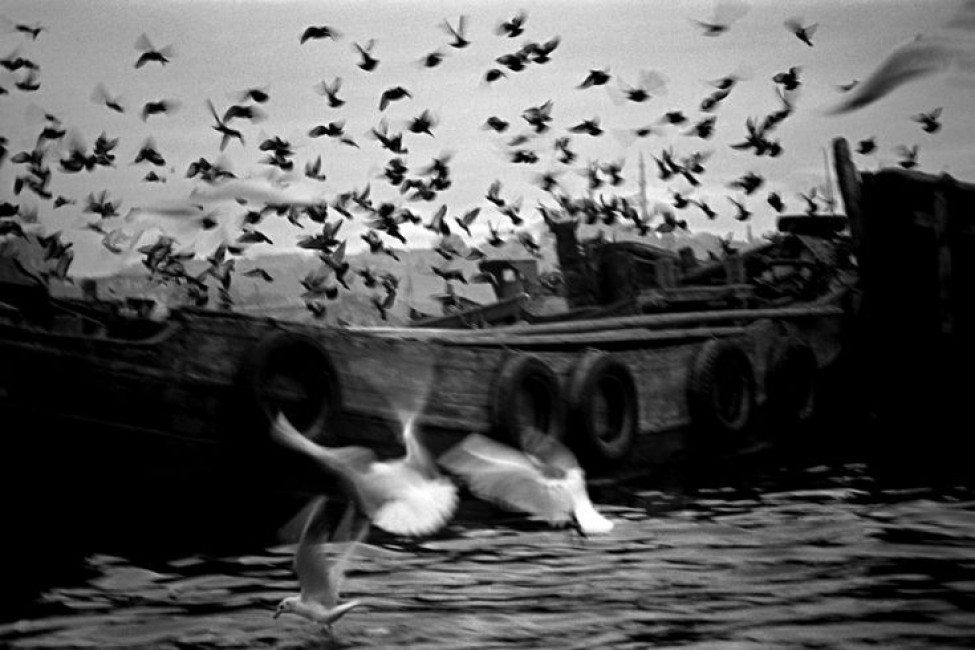 Ara Güler.  - 
