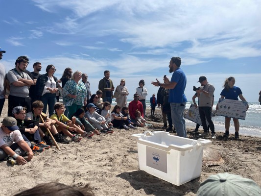 La Fundación Azul Marino y el grupo scout San Francesc de Castelló devuelven al mar la tortuga Francis