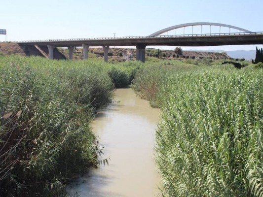 Molina de Segura recibe la mayor parte de los tres millones y medio destinados a restaurar un tramo del río Segura 