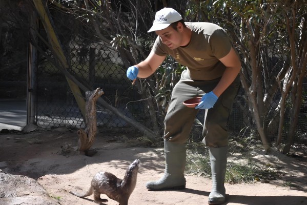 Terra Natura Murcia impulsa la inserción laboral de personas con diversidad funcional
