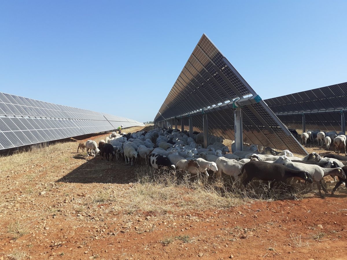 UNEF pide seguir apostando por I+D+I para alcanzar los objetivos de descarbonización
