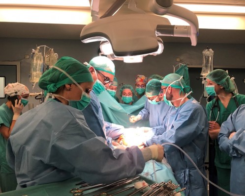 España logra 48 trasplantes de órganos en 24 horas y alcanza un nuevo récord