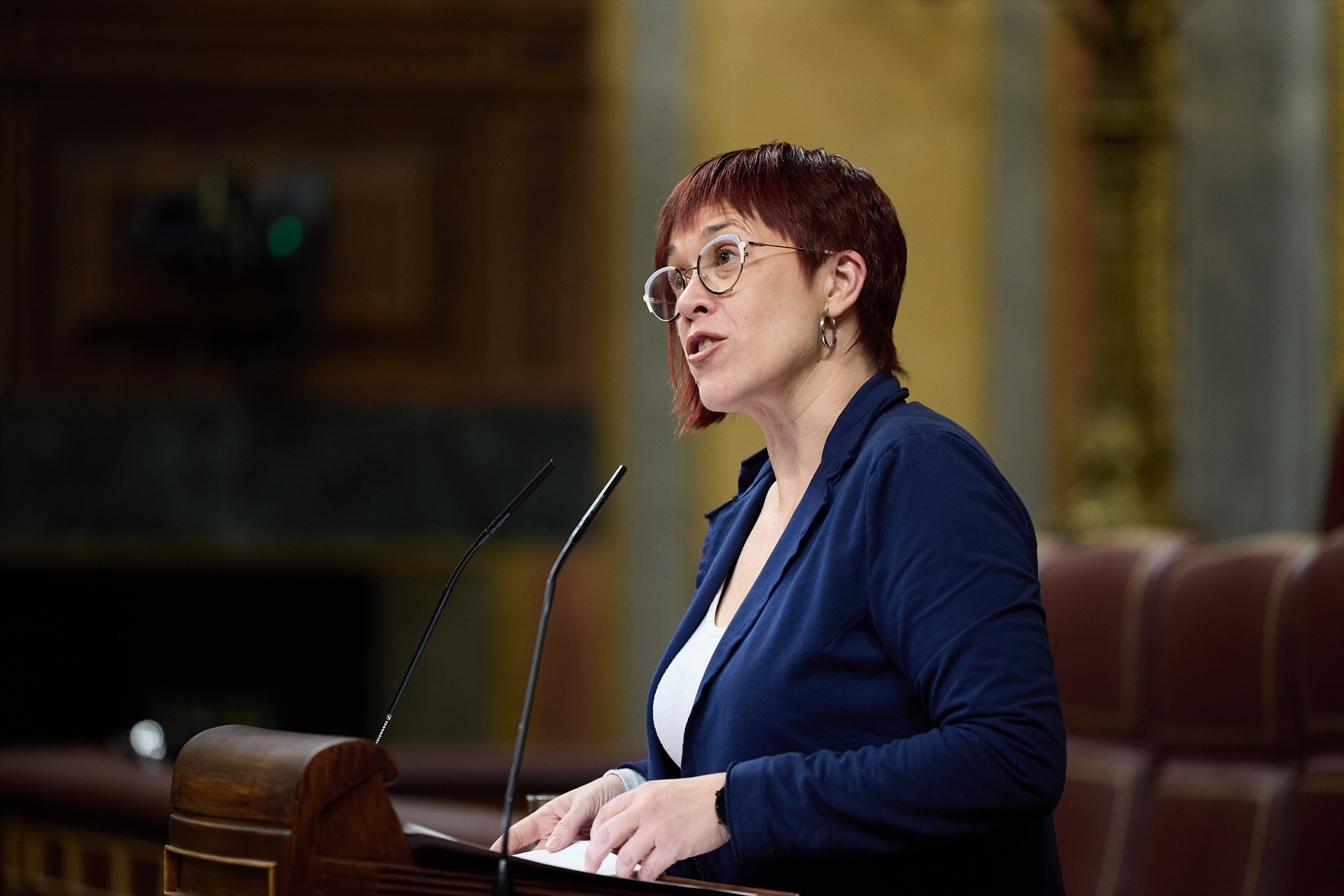 Compromís y Més recurrirán este martes al TC el veto a sus enmiendas en la reforma constitucional