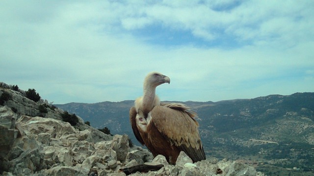 Contabilizan la cifra 