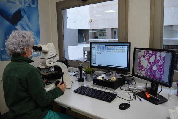 Justicia brinda al Instituto de Medicina Legal de Castellón la aplicación hospitalaria Orion-Clinic