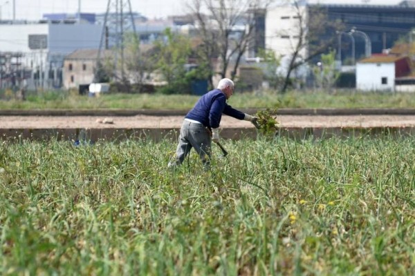 Hacienda aprueba una rebaja de los módulos de IRPF de 2023 para agricultores y ganaderos
