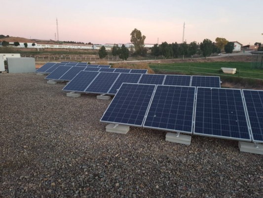 La UMU encarga a Ferrovial la instalación de placas solares en Espinardo tras rebajar el contrato un 65% 