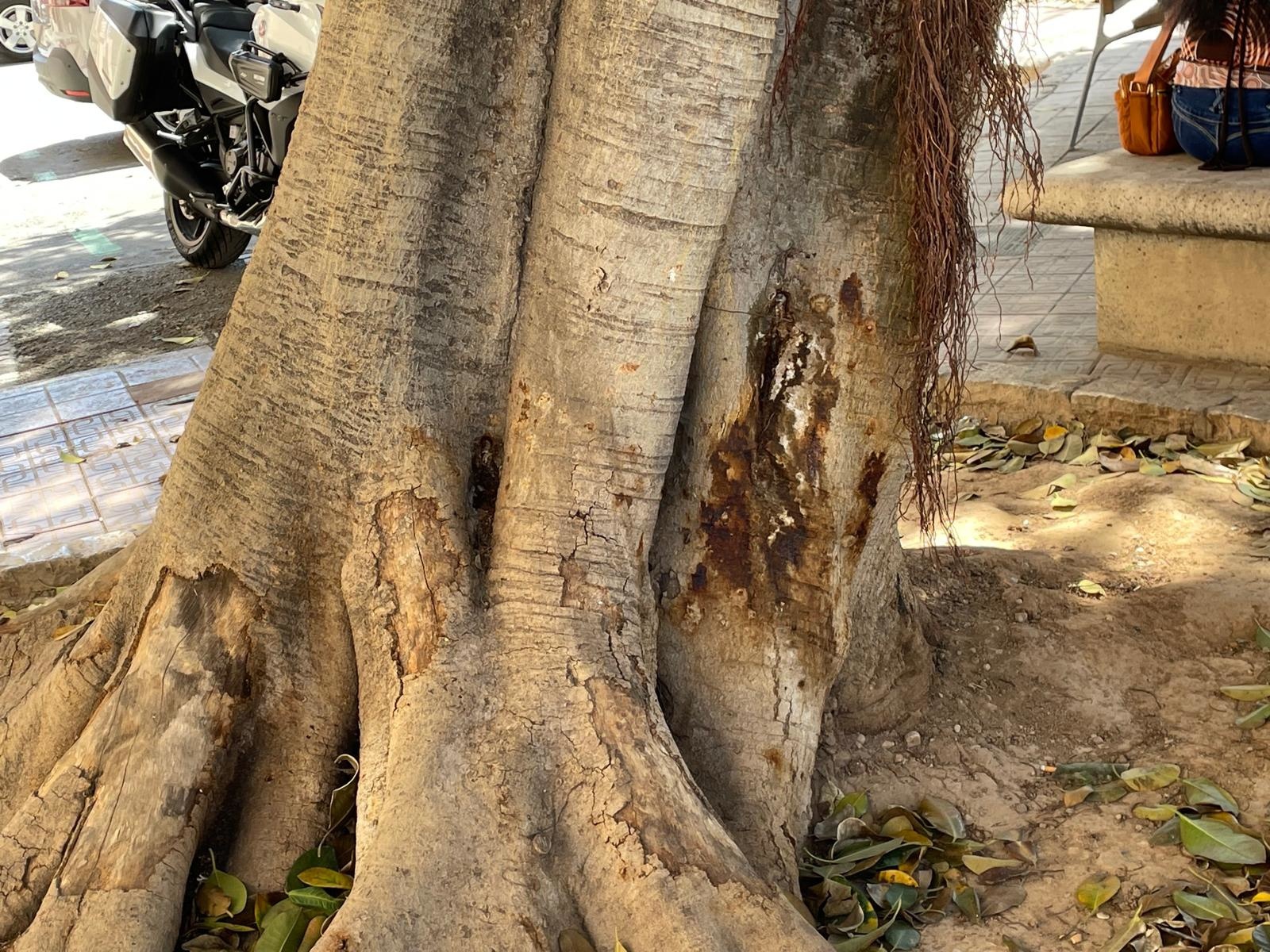 Foto: AYUNTAMIENTO DE.VALÈNCIA - 