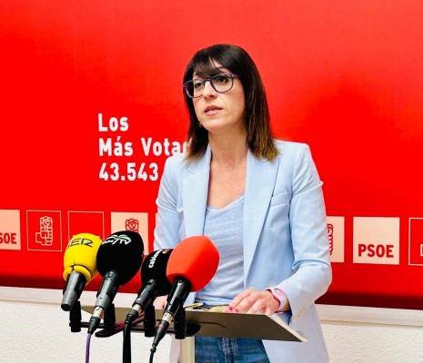 El Síndic insta de nuevo a PP y Vox en Elche a no utilizar las redes municipales contra la oposición