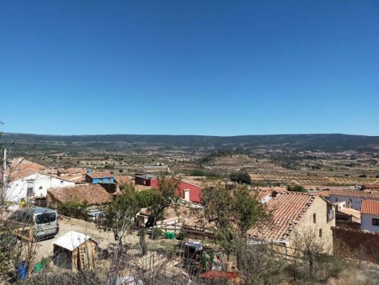 Pastaor, xumenera, albercoque...:  el singular vocabulario de frontera en la provincia de Valencia