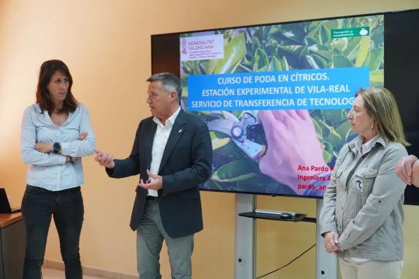 El curso de poda de cítricos de Burriana y el Pacto Cerámico triplica su previsión de inscritos