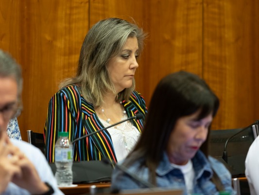 La edil de Familia (Vox) de Orihuela da clases en dos universidades pese a tener dedicación exclusiva