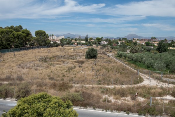 Sant Joan subasta una parcela cerca de la UMH por 1,5 millones: podría albergar una residencia