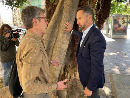 El Ayuntamiento investigará las 