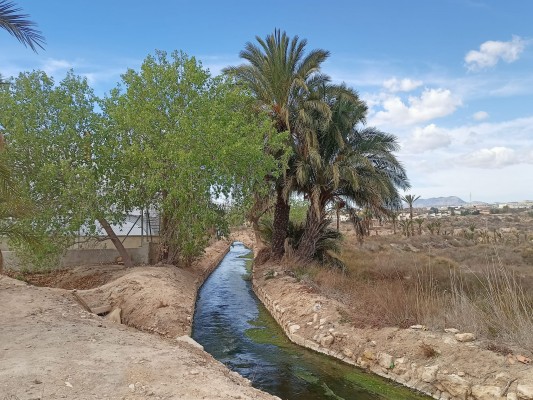 Elche impulsa un proyecto de agua regenerada para la Acequia Mayor y parte de los huertos históricos