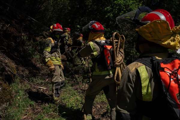 Justicia pone a disposición a los ayuntamientos 8 millones para prevenir incendios forestales