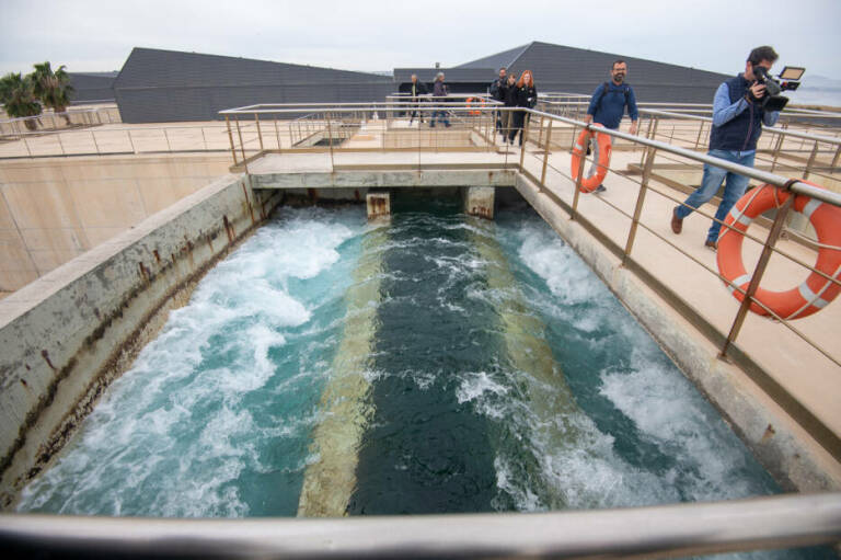 La UTE Ferrovial-Sacyr se adjudica el contrato para la ampliación de la desalinizadora de Torrevieja