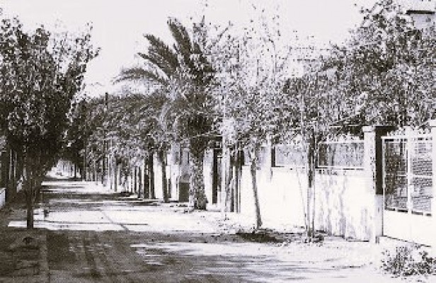 ¿Conoce el origen de Ciudad Jardín?