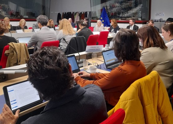 València pone en valor su trabajo en materia medioambiental ante la Comisión Europea
