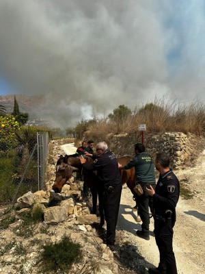 Extinguido el incendio forestal declarado este sábado en el Barranc de l'Hedra de Xàbia
