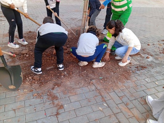 Escolares de Burriana reponen el arbolado caído durante el reventón térmico en el 'Día del árbol'