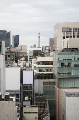 Dos alicantinos, colaboradores de Cenid, lideran un plan para crear edificios sostenibles con IA en Japón