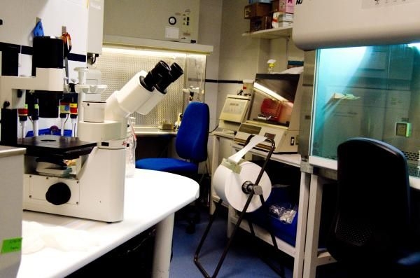 La transformación de la salud global a lo largo de la última década
